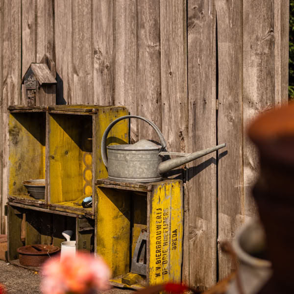 Longhorn Ranch Bed & Barbecue B&B, Akersloot, Breakfast, Amerikaans, Country, Koeien, Rust, Mindful