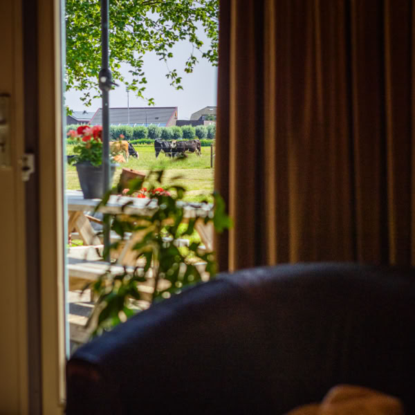 Longhorn Ranch Bed & Barbecue B&B, Akersloot, Breakfast, Amerikaans, Country, Koeien, Rust, Mindful